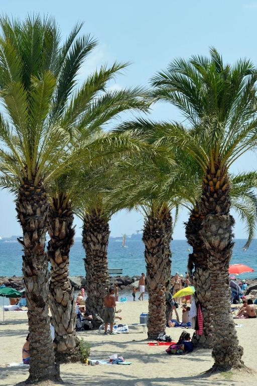 Camping Rcn Domaine De La Noguiere Le Muy Dış mekan fotoğraf